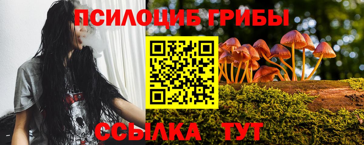 Солнечногорск  Галлюциногенные грибы Psilocybe  Вход с VPN  Галлюциногенные грибы Cubensis 