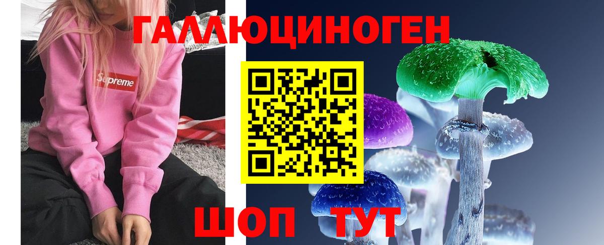 Псилоцибиновые грибы Psilocybe Солнечногорск